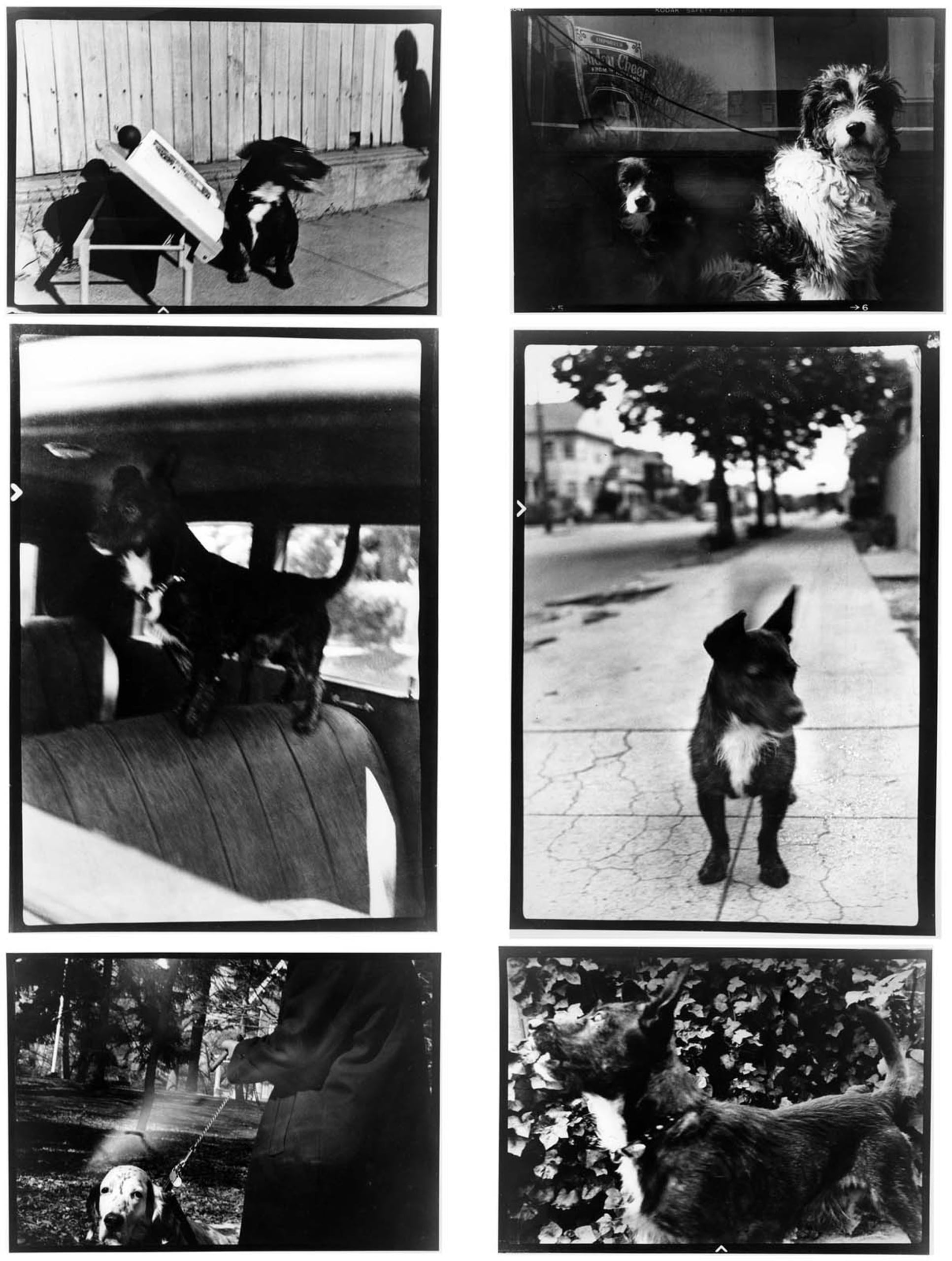 Give Me More Affection Less Despair 1981