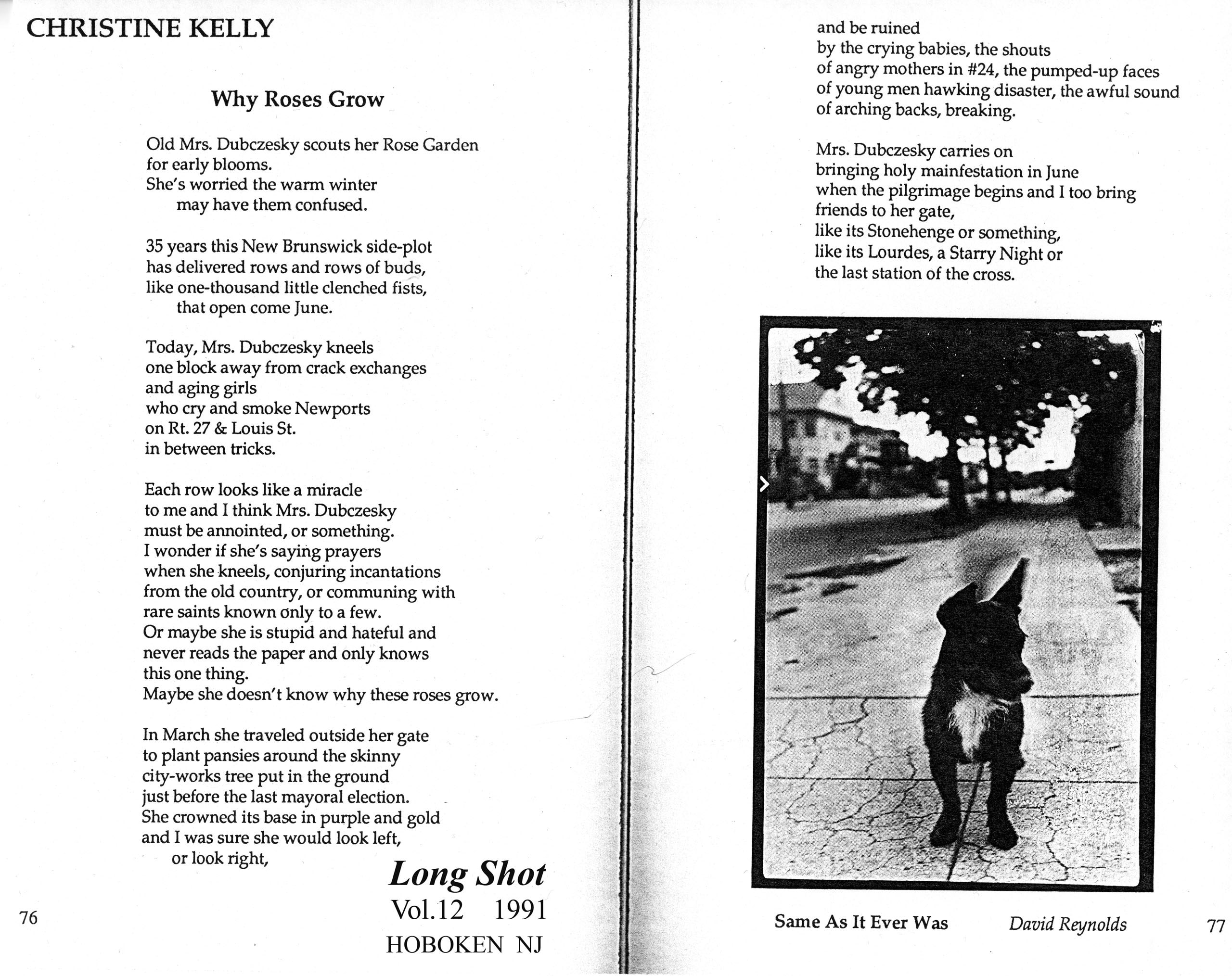 Give Me More Affection Less Despair 1991