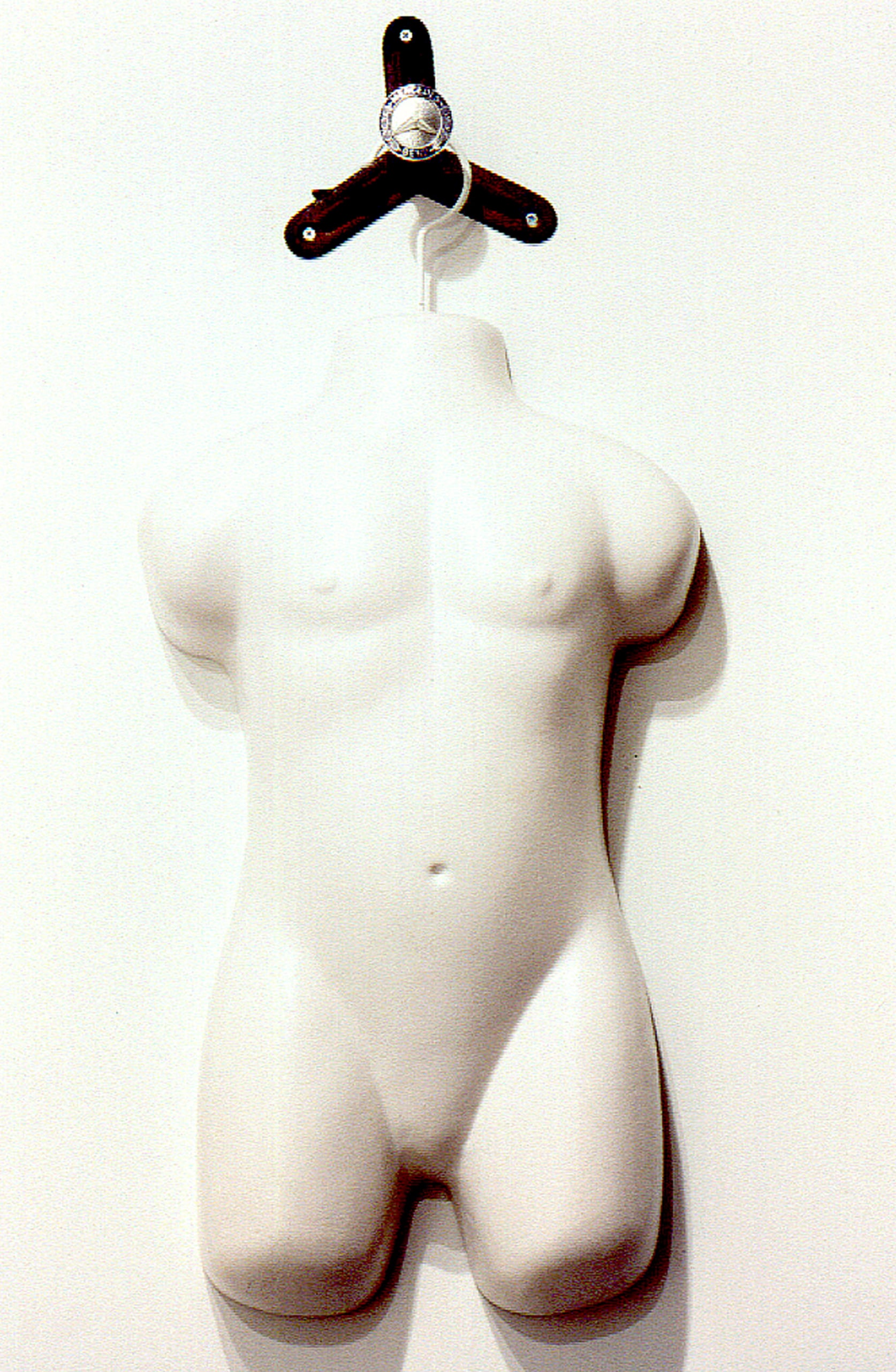 The Appropriate Details 1995