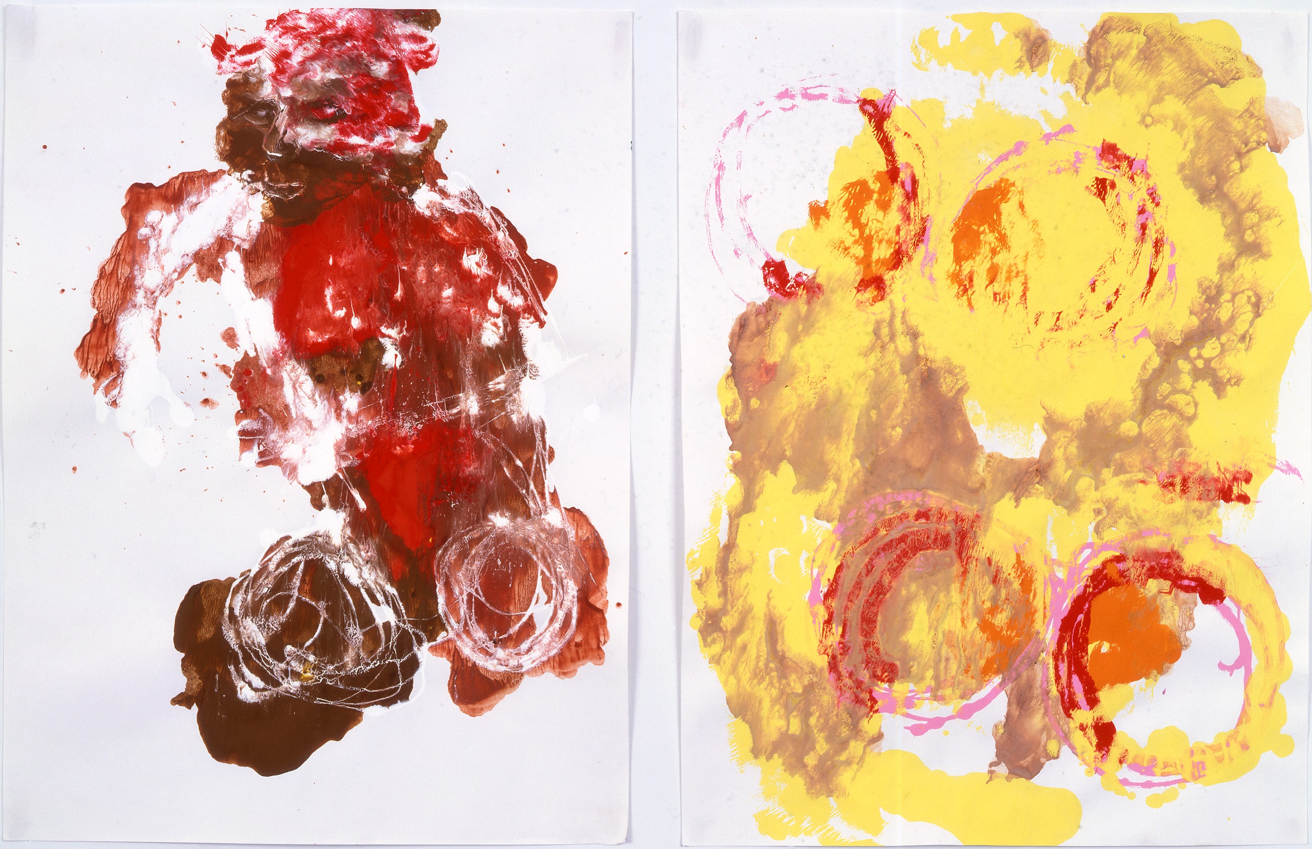 The Mind-Body Question 1996