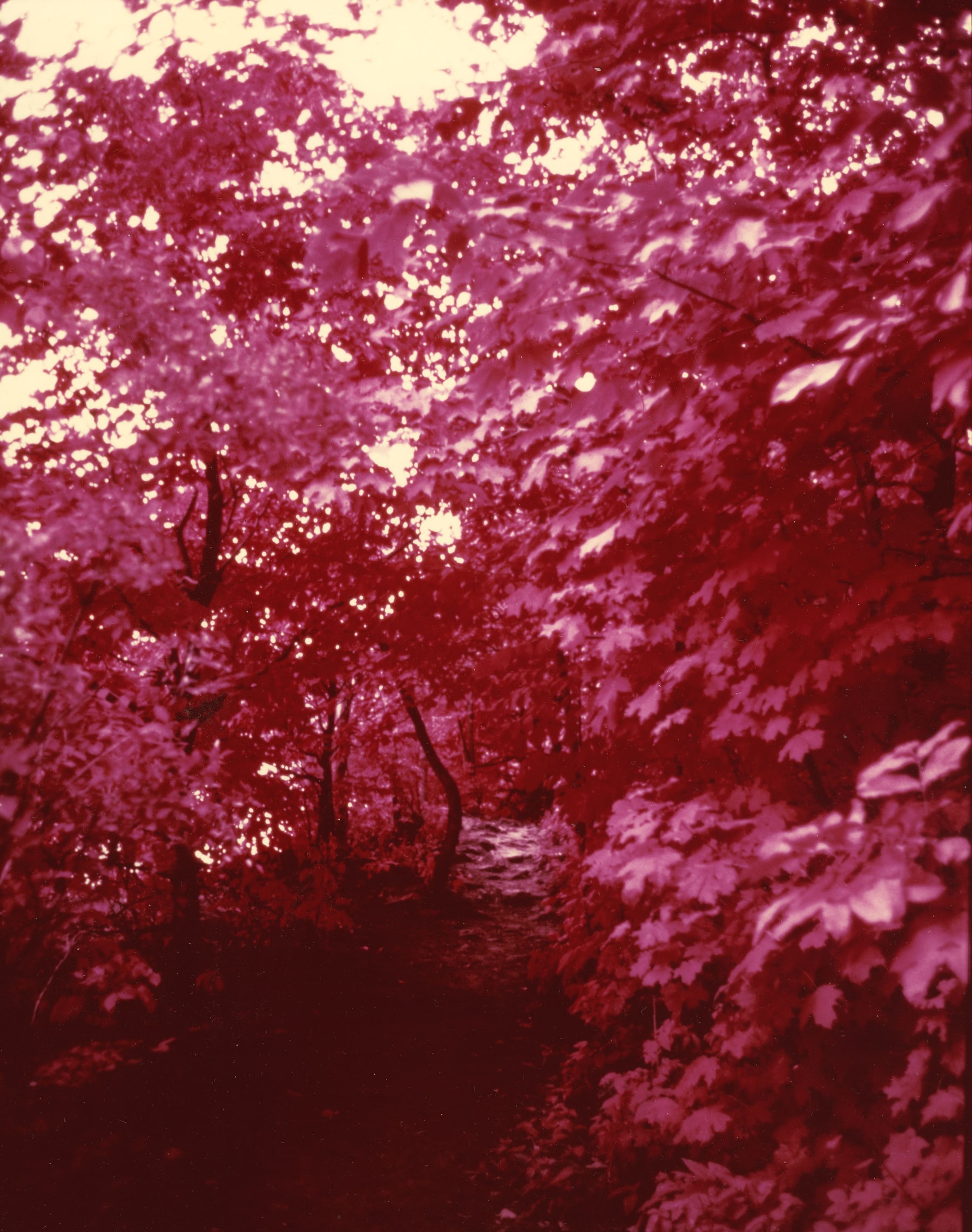 Origin of the Psychedelic Gothic 1975