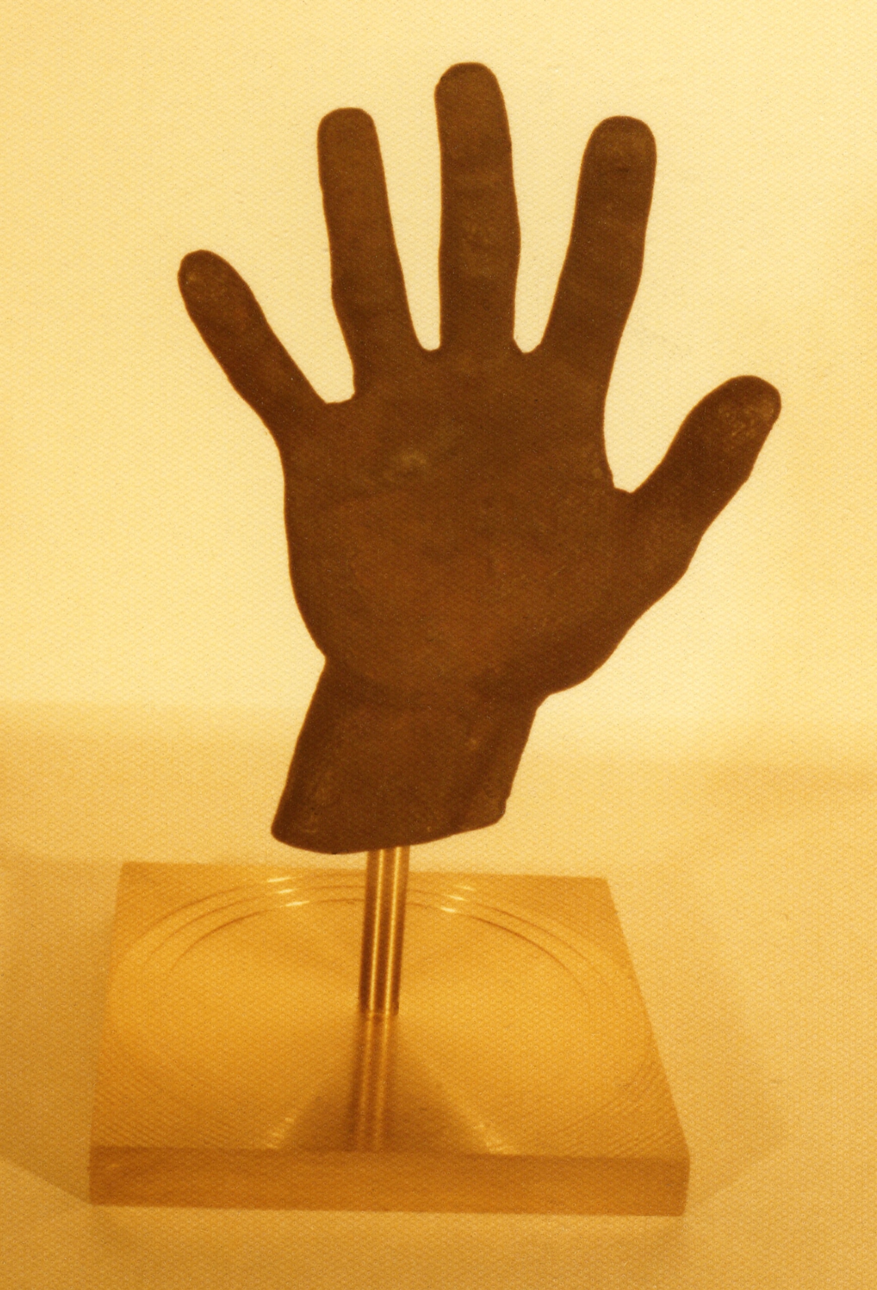 The Artist's Hand 1974