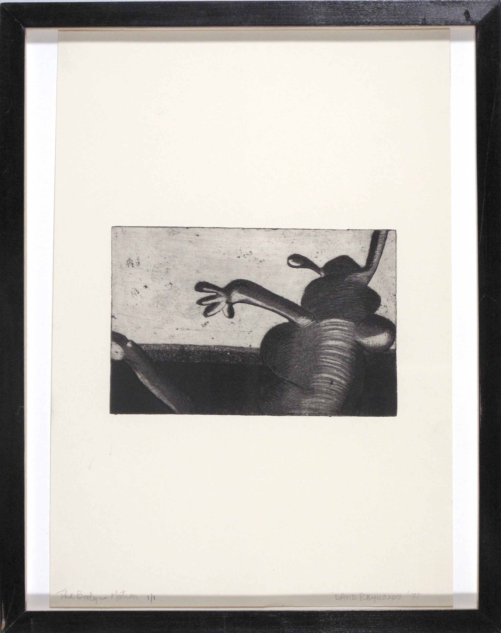 The Body in Motion 1977