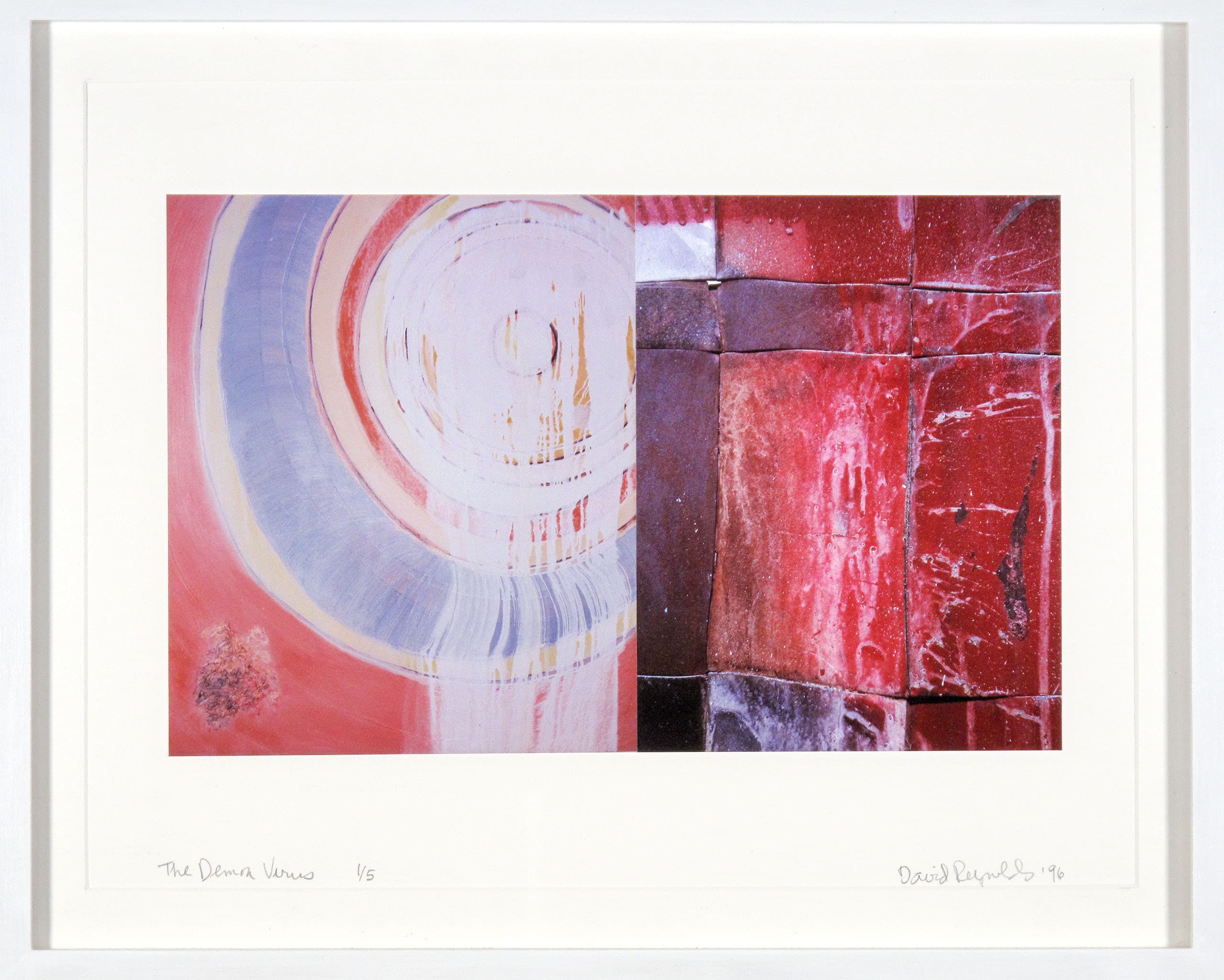 The Demon Virus 1996