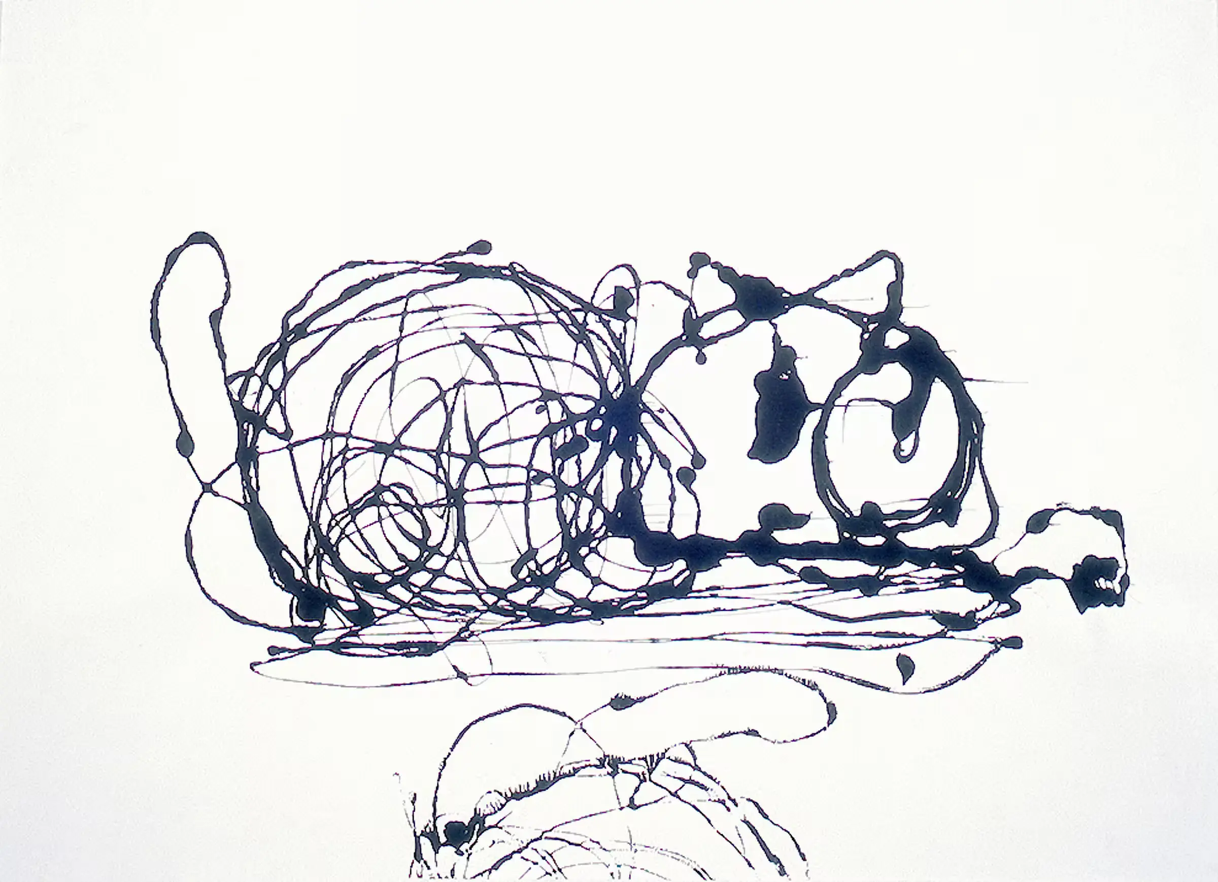 Cat & Reflection 1996