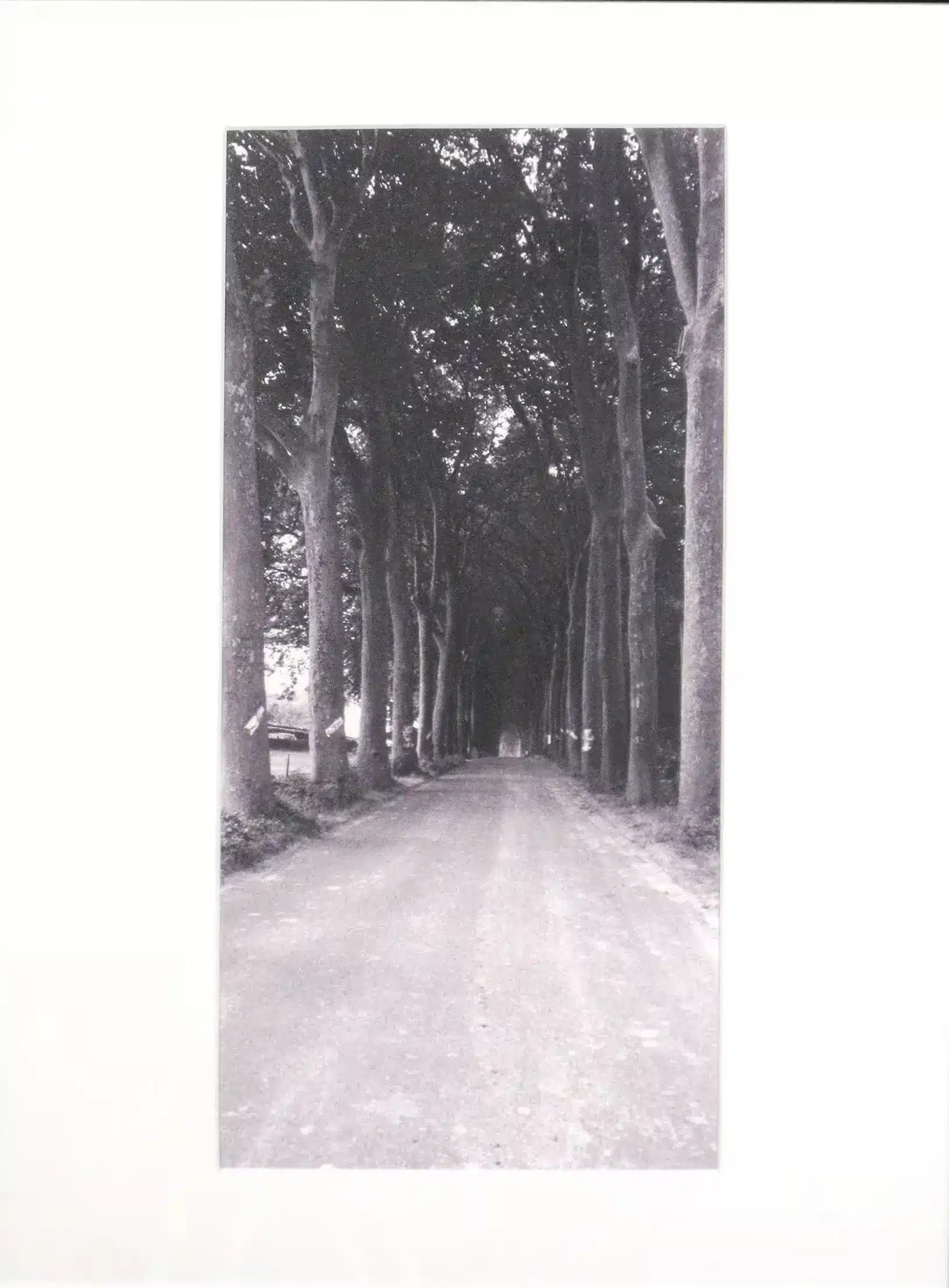 Origin of the Gothic 1975