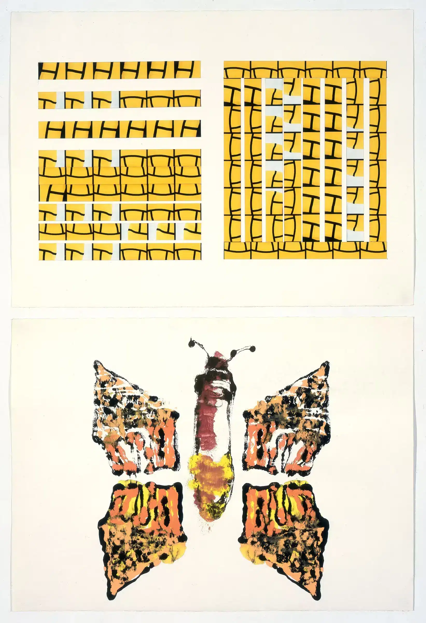 The Butterfly Dissected 1998