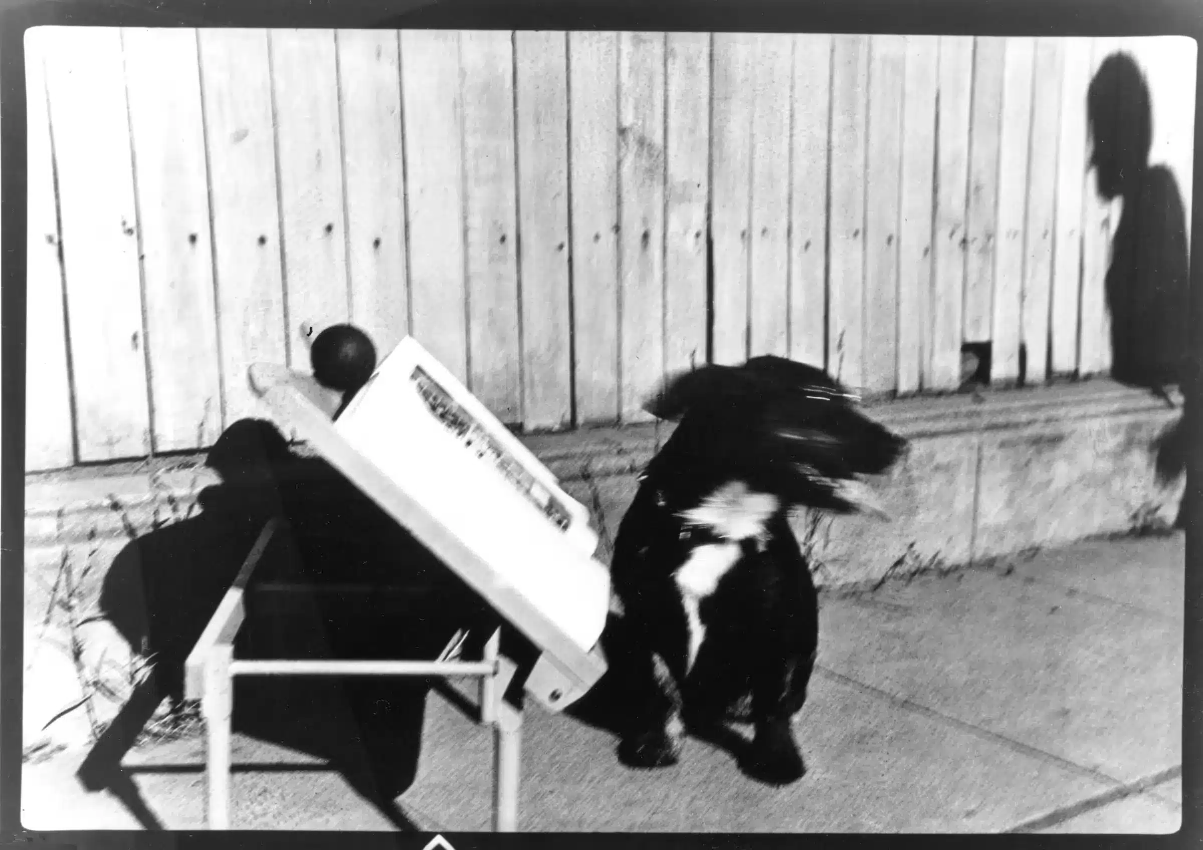 Give Me More Affection 1981