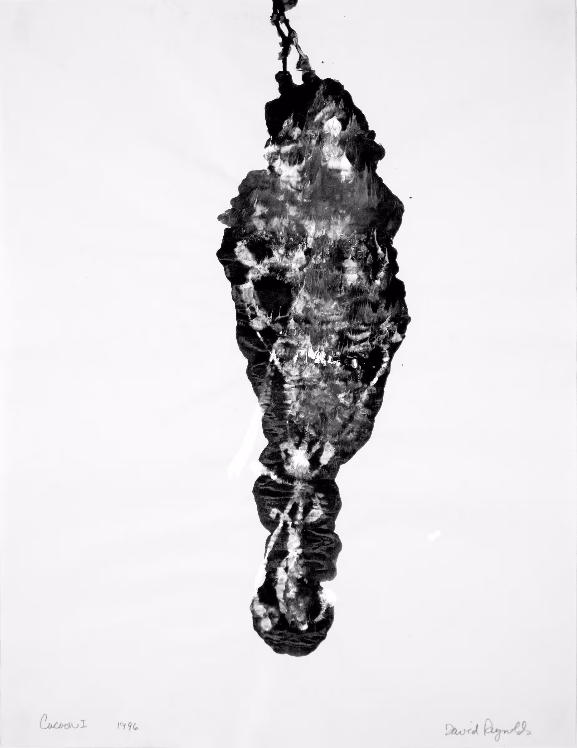 Cocoon 1 1996
